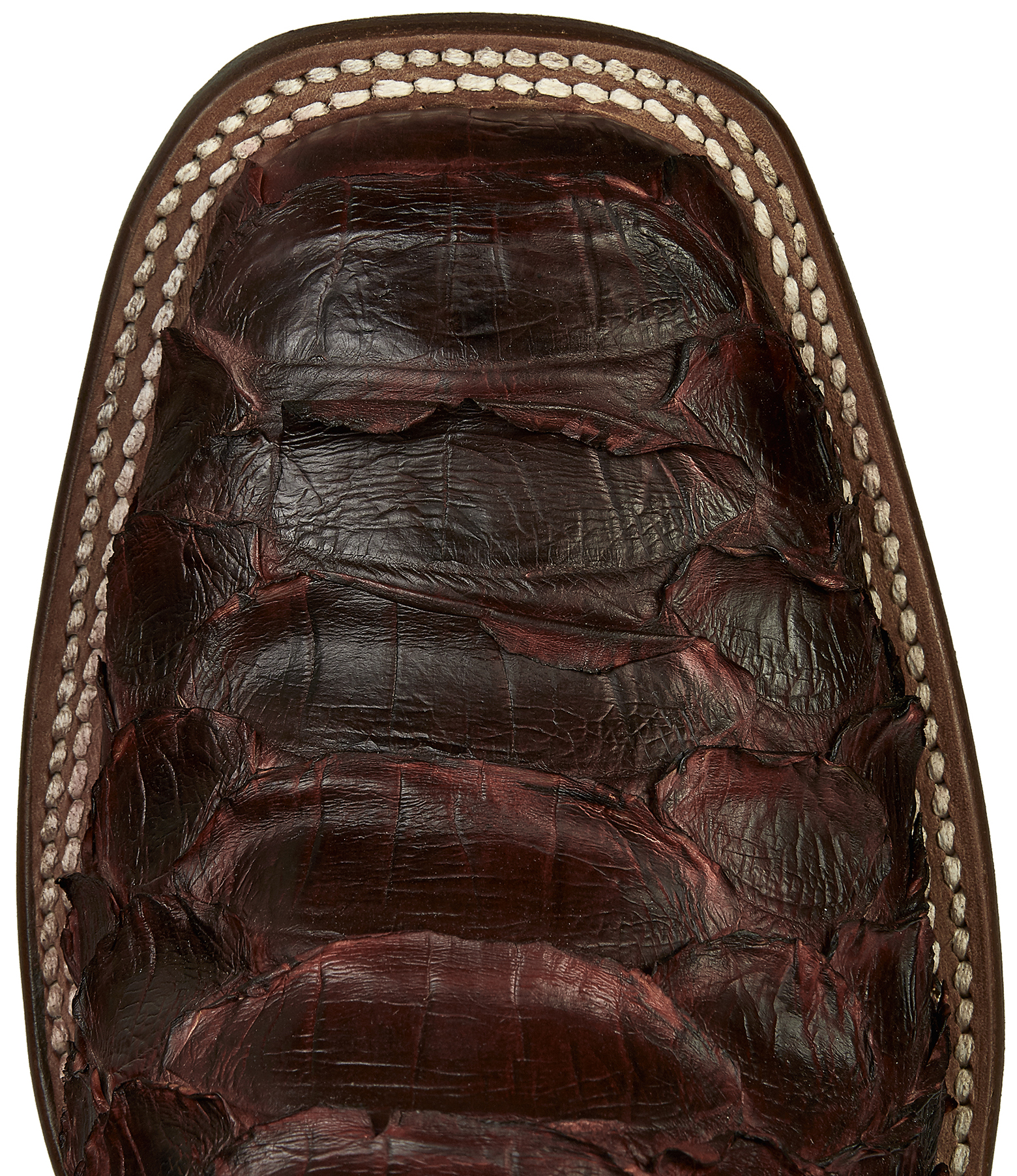lucchese mens python boots