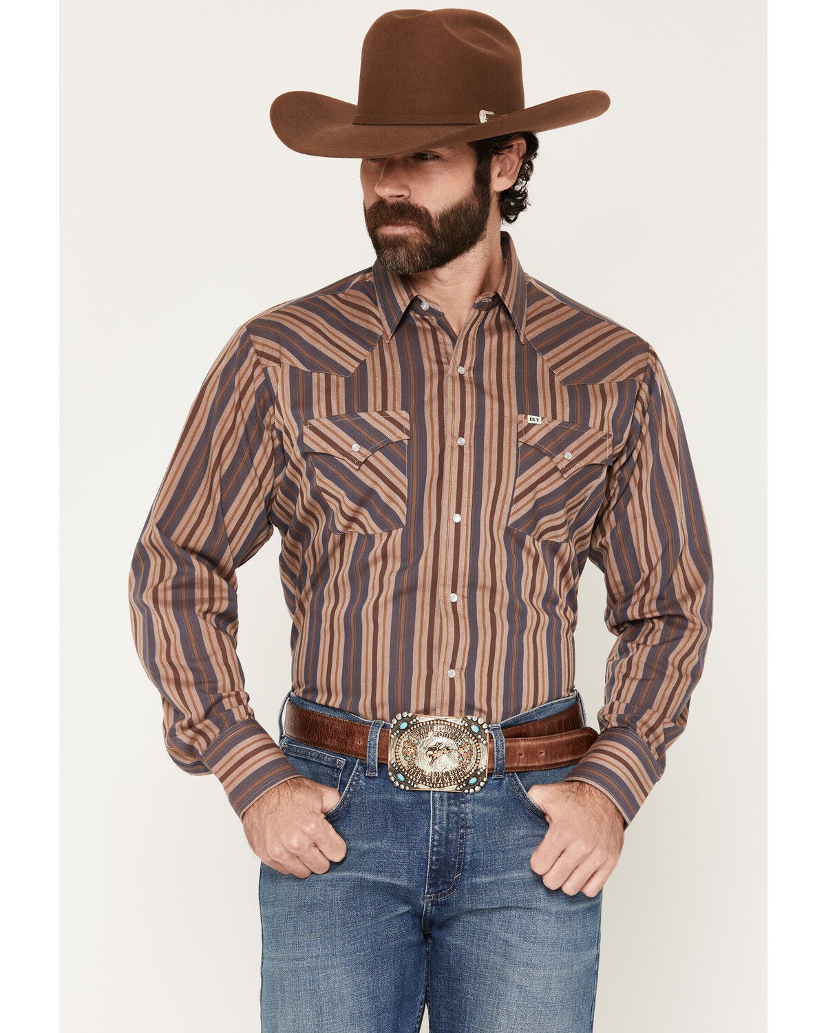 Ely Walker Men's Striped Long Sleeve Pearl Snap Western Shirt, Blue, hi-res