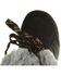 Image #5 - Bearpaw Women's Desdemona 10" Waterproof Lace-Up Boots - Round Toe, Black, hi-res