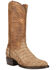Image #1 - Dan Post Men's Exotic Caiman Makara Tall Western Boots - Round Toe, Brown, hi-res
