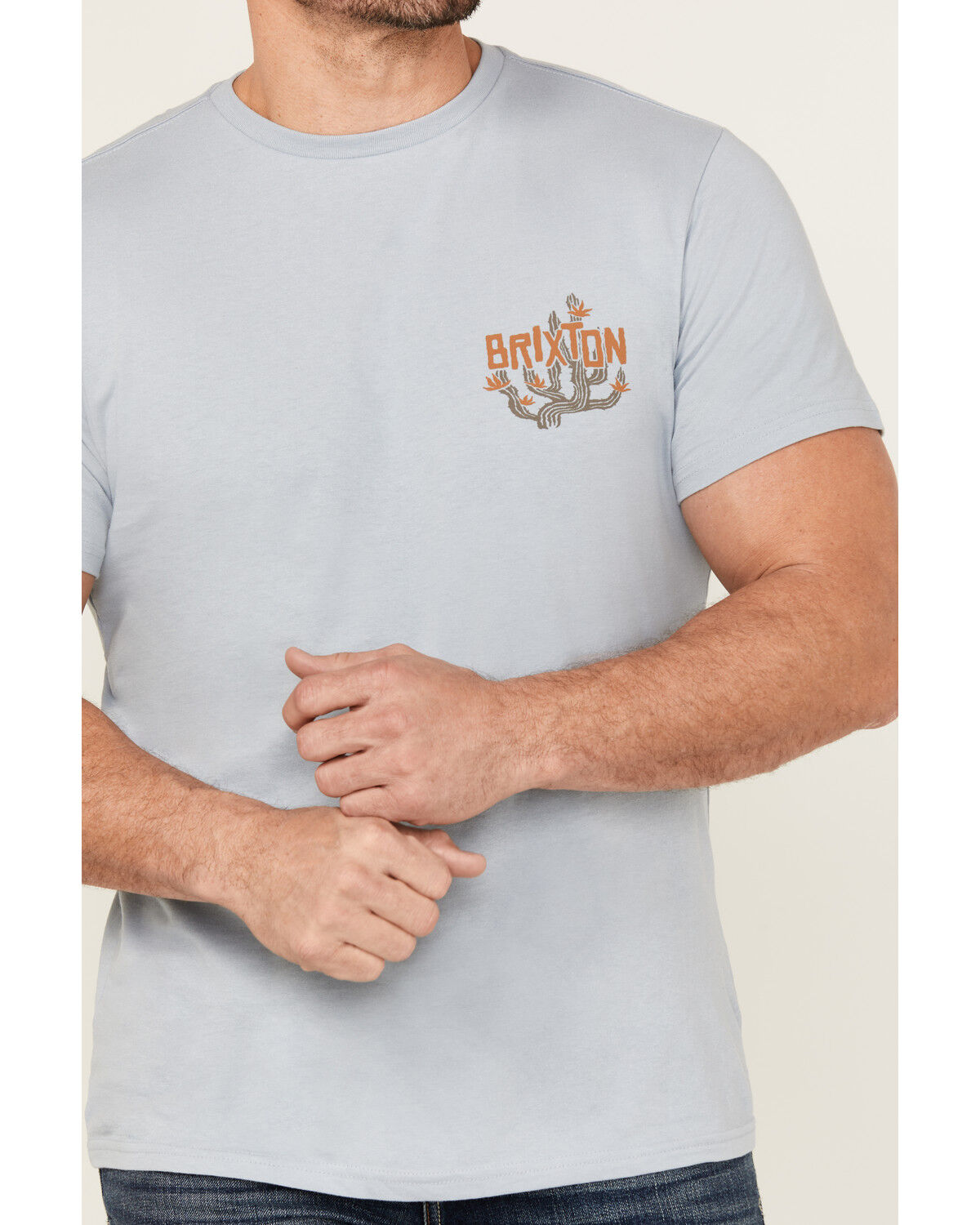 Image #3 - Brixton Men's Valley Cactus Short Sleeve Graphic T-Shirt, Light Blue, hi-res