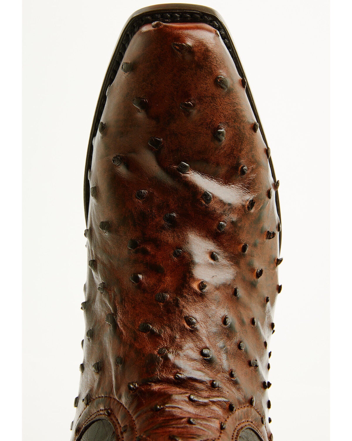 Image #6 - Dan Post Men's Marco Exotic Full Quill Ostrich Tall Western Boots - Square Toe, Brass, hi-res