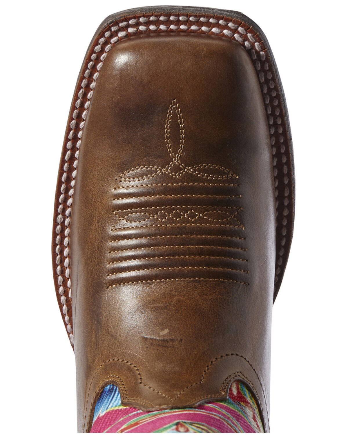 ariat women's circuit champion