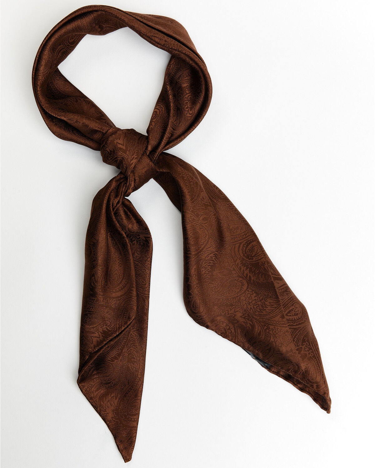 Cody James Men's Silk Wild Rag Scarf, Brown, hi-res