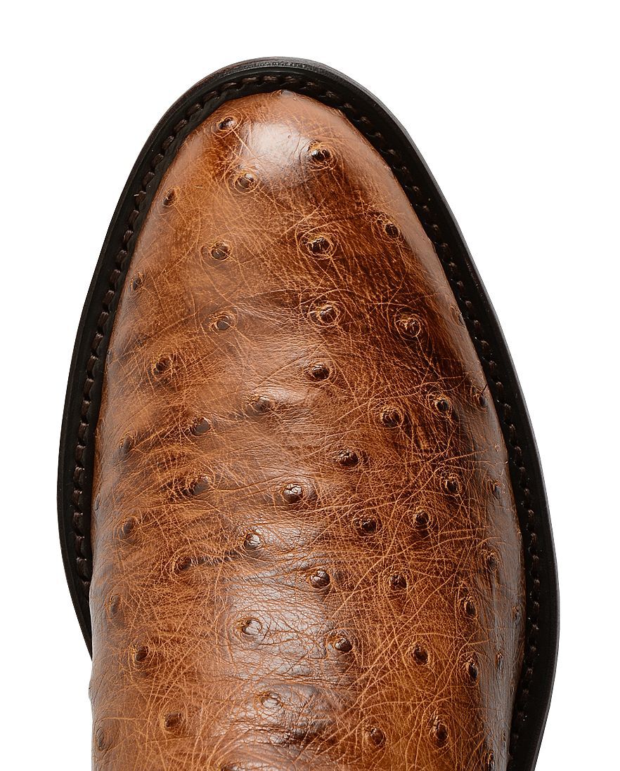 lucchese ostrich ropers