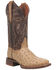 Image #1 - Dan Post Women's Exotic Full Quill Ostrich Western Boots - Broad Square Toe, Taupe, hi-res