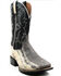 Image #1 - Dan Post Men's Kauring Snake Exotic Western Boots - Broad Square Toe , Black, hi-res