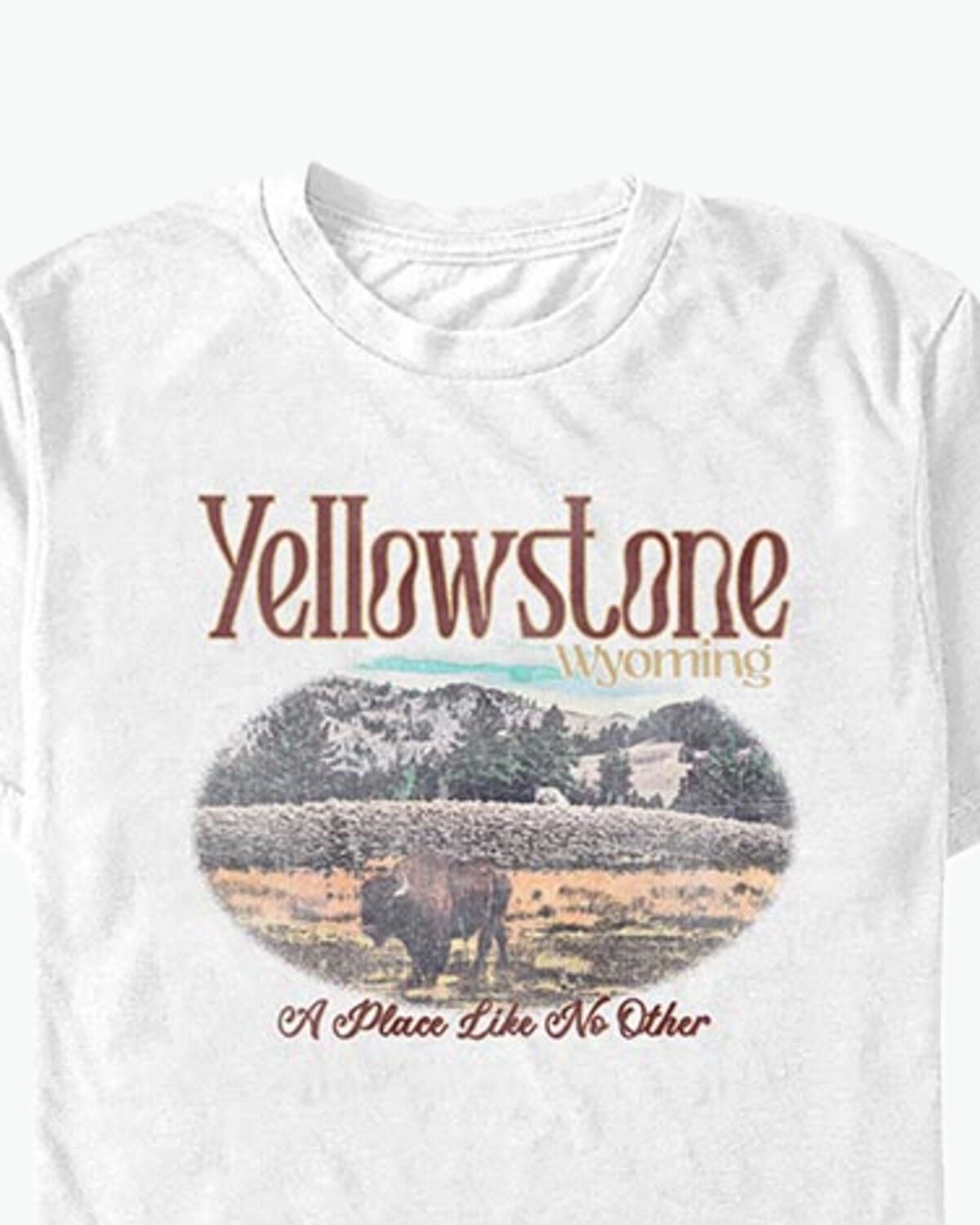 Americana Men's Yellowstone Vintage Short Sleeve Graphic T-Shirt, White, hi-res