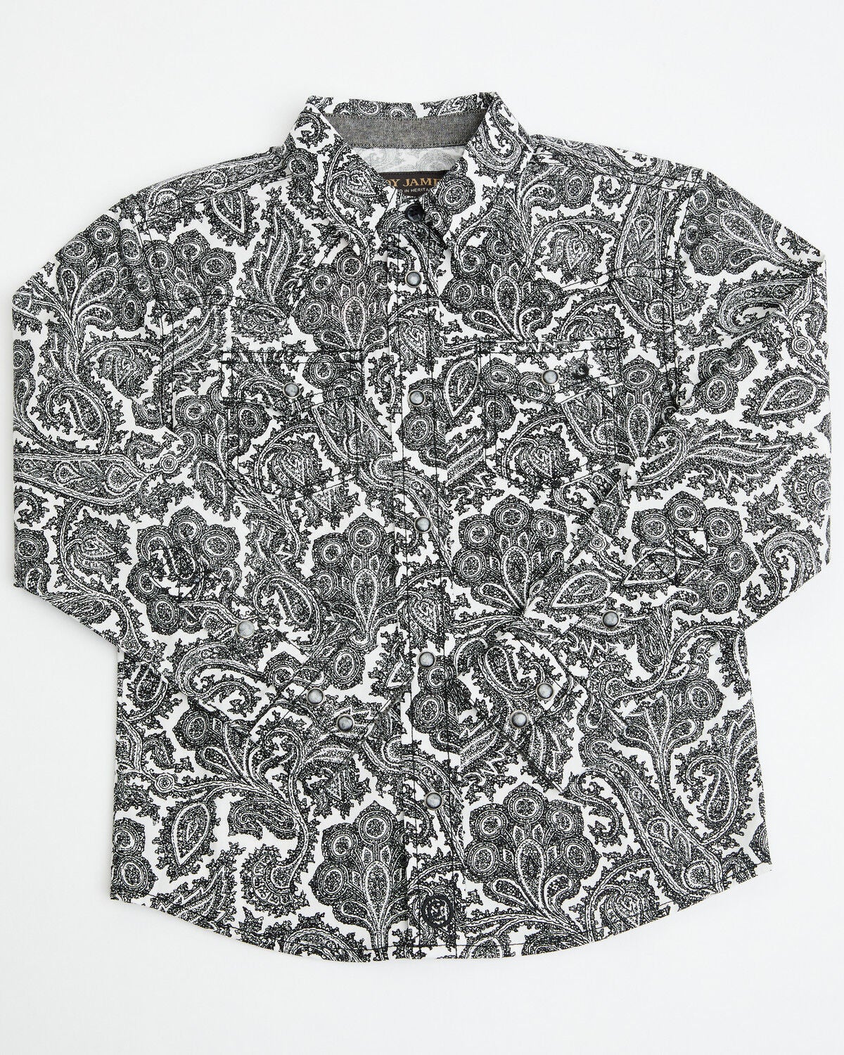 Cody James Toddler Boys' Botanical Paisley Print Long Sleeve Snap Western Shirt, Black, hi-res