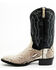 Image #3 - Dan Post Men's 12" Exotic Python Western Boots - Medium Toe , Natural, hi-res