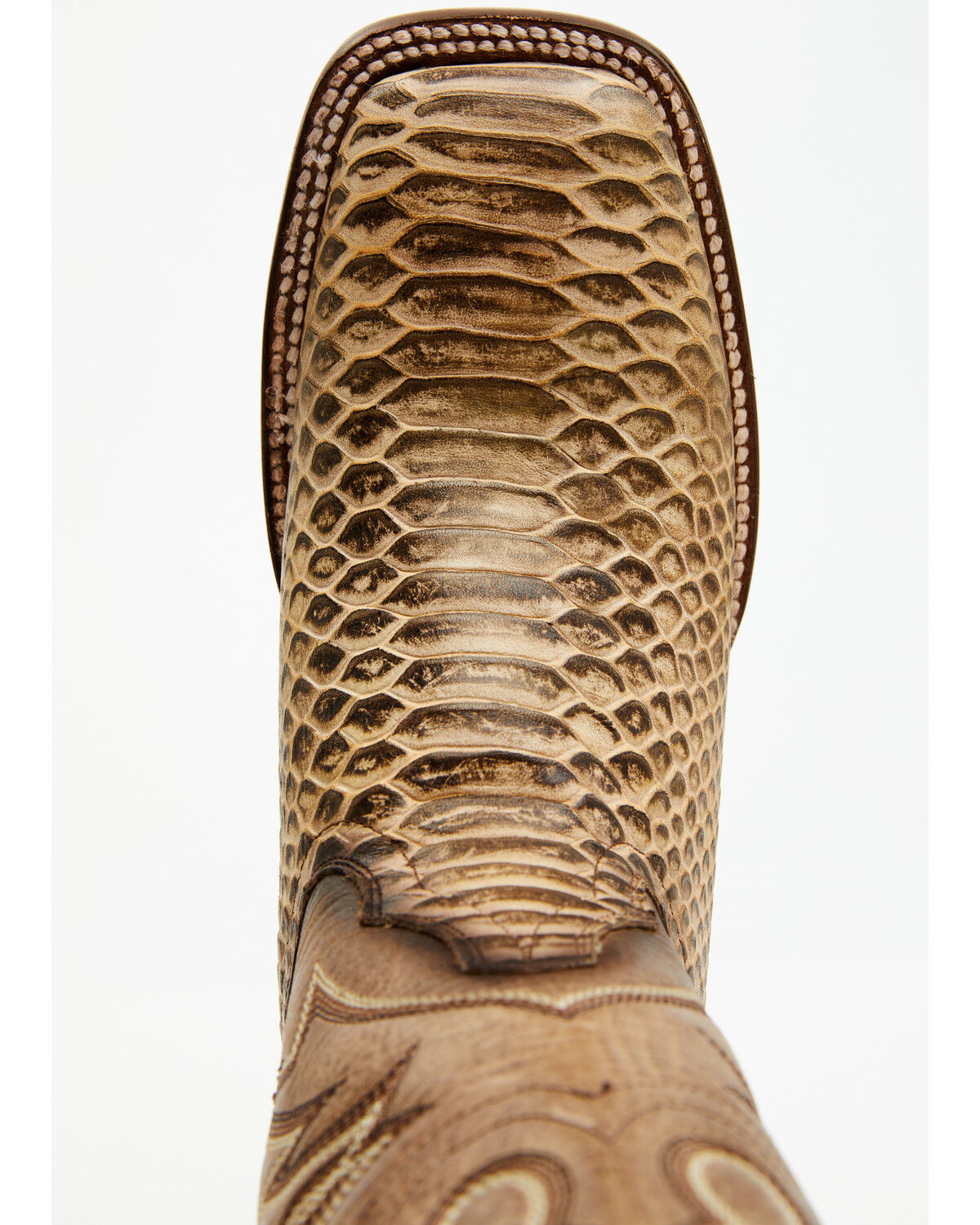 Image #6 - Dan Post Women's 12" Faux Python Western Boots - Broad Square Toe, Honey, hi-res