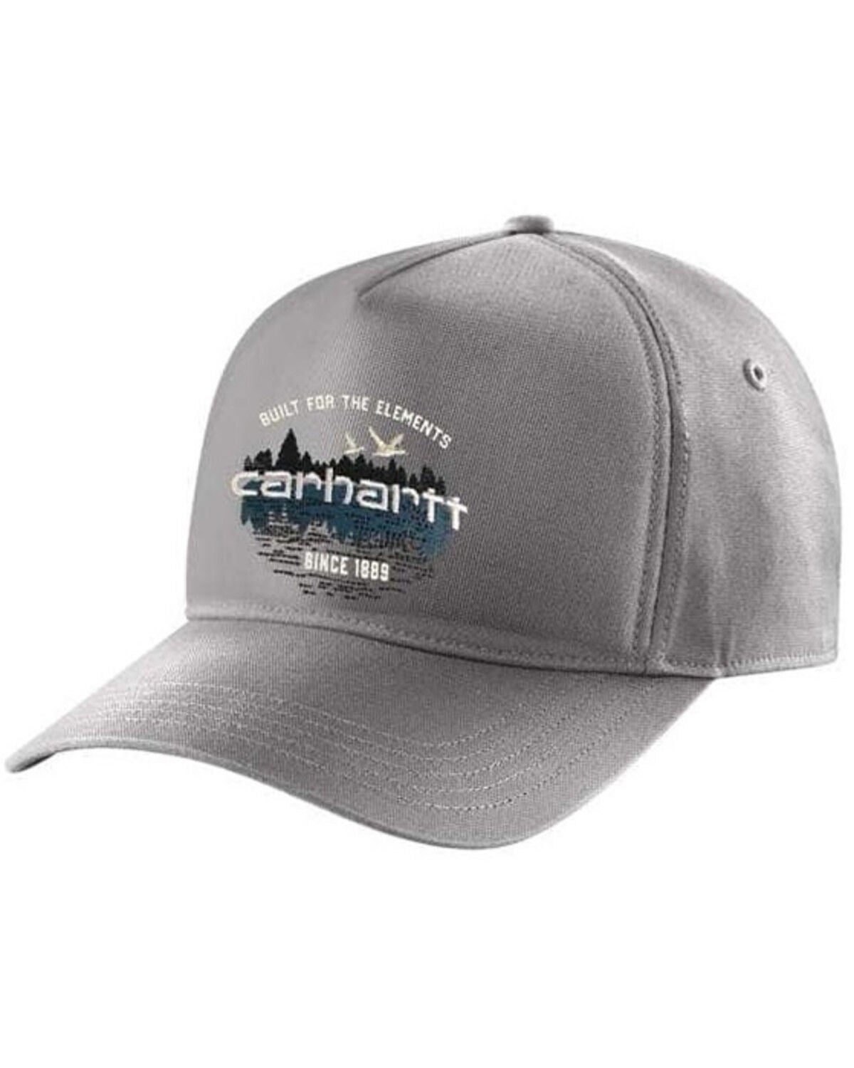 Carhartt Men's Canvas Outdoor Graphic 