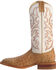 Image #3 - Justin Men's AQHA Full-Quill Ostrich Western Boots - Broad Square Toe, Tan, hi-res