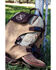 Image #4 - Hooey Mule Backpack, Tan, hi-res