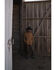 Image #1 - Hawx Men's Ellis Weathered Duck CPO Snap Work Shirt Jacket, , hi-res