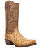 Image #1 - Dan Post Men's Marco Exotic Full-Quill Ostrich Western Boots - Square Toe, Brown, hi-res