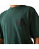 Image #4 - Ariat Boys' Flag Logo Short Sleeve Graphic T-Shirt, Green, hi-res