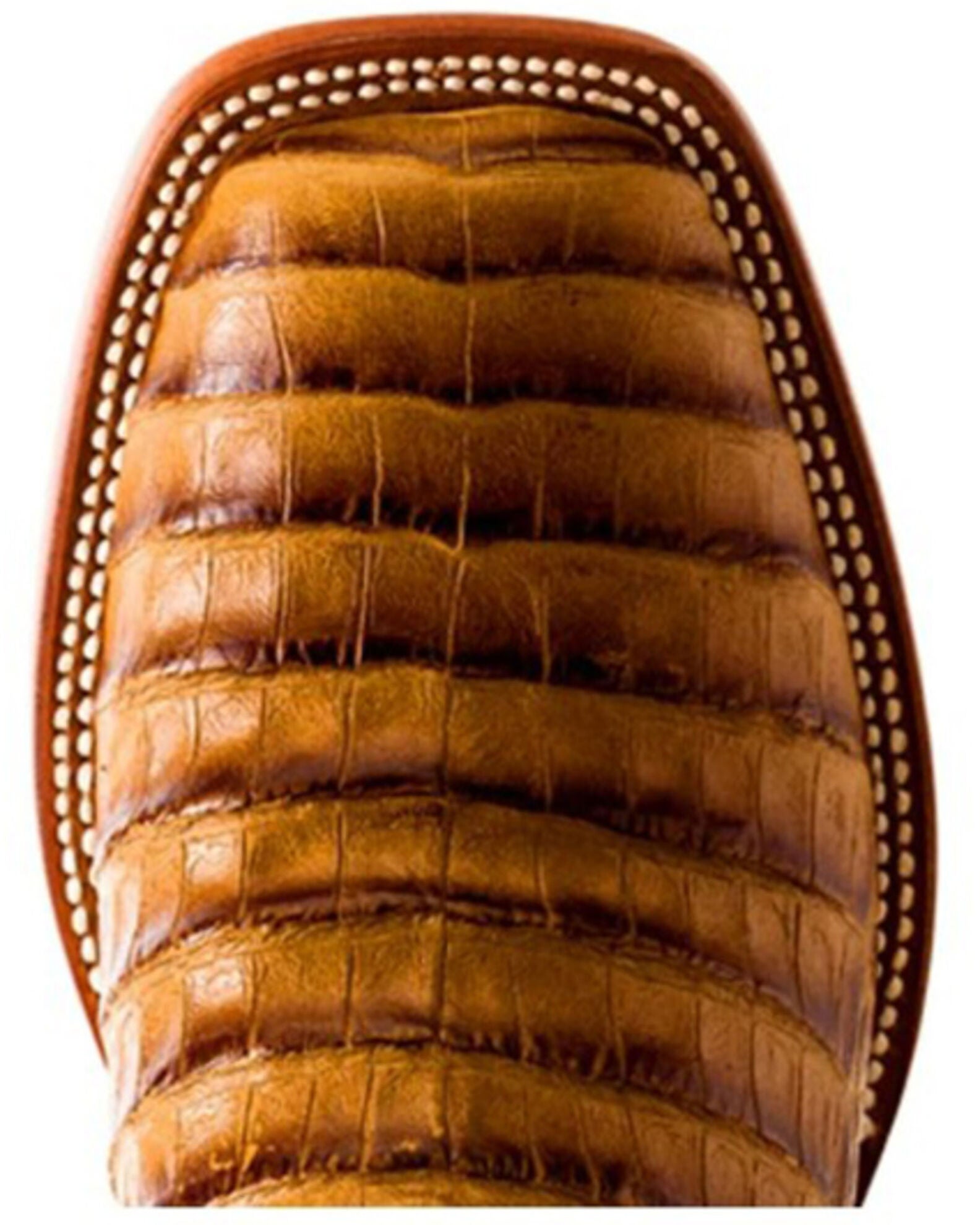 Product Name Horse Power Men's Toasted Caiman Print Western Boots