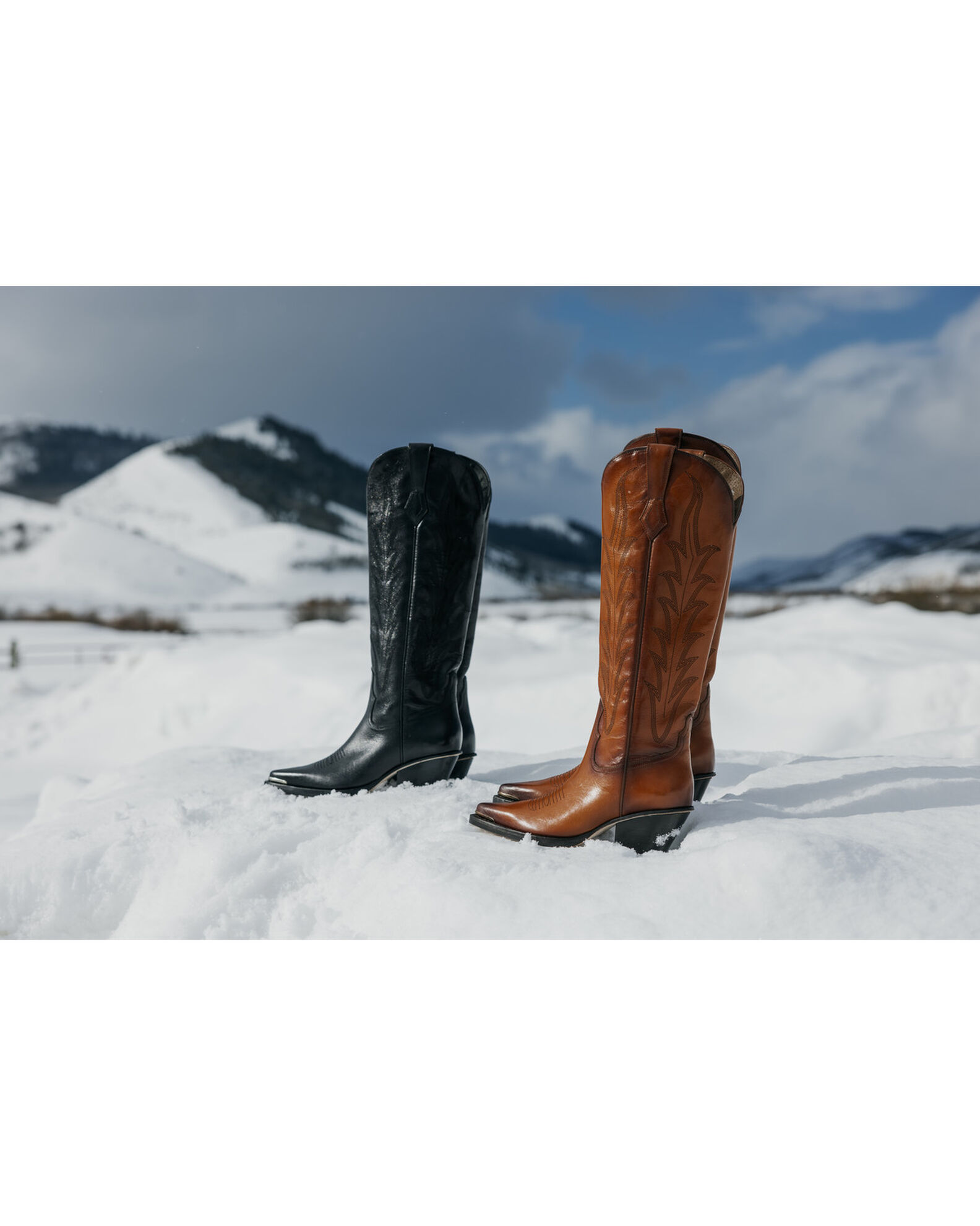 Wonderwest Women s Estilo Tall Western Boots Snip Toe Country Outfitter