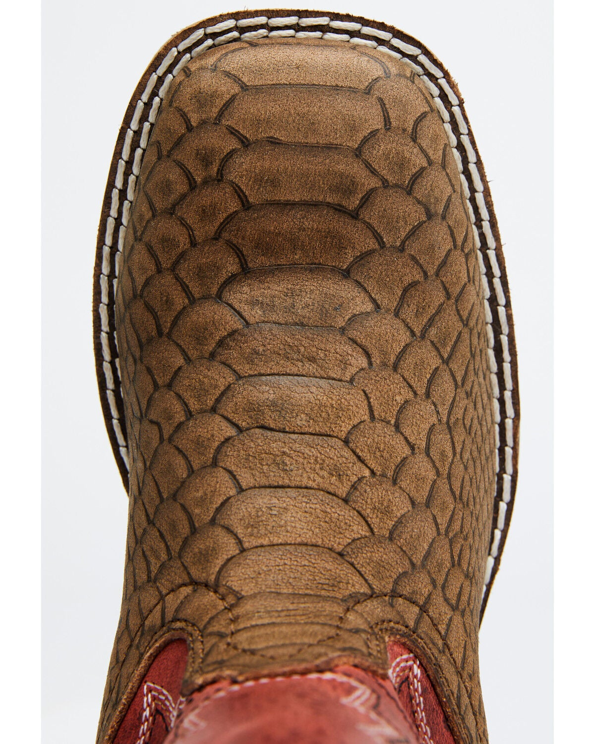 Cody James Boys' Red Reptile Print 