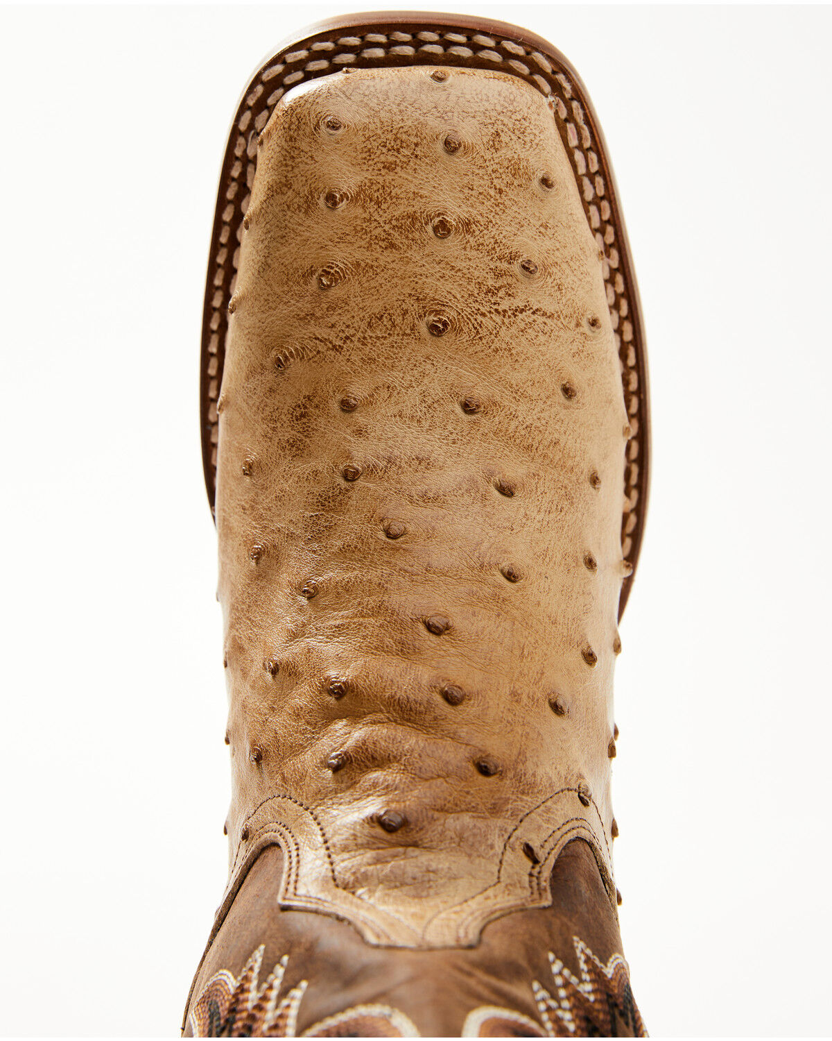 Image #6 - Dan Post Women's Exotic Full Quill Ostrich Western Boots - Broad Square Toe, Sand, hi-res