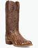 Image #1 - Dan Post Men's Gauge Exotic Ostrich Western Boots - Round Toe, Brown, hi-res
