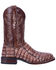 Dan Post Men's Kingsly Caiman Western Boots - Wide Square Toe, Brown, hi-res
