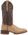 Image #2 - Dan Post Women's Exotic Full Quill Ostrich Western Boots - Broad Square Toe, Taupe, hi-res