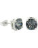 Montana Silversmiths Women's Gleaming Twilight Earrings, Silver, hi-res