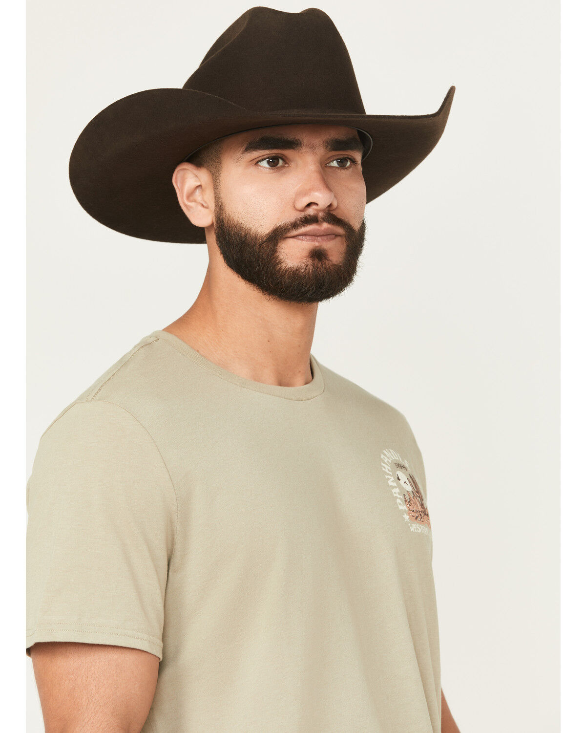 Image #3 - Panhandle Slim Men's Desert Short Sleeve Graphic T-Shirt, Sage, hi-res