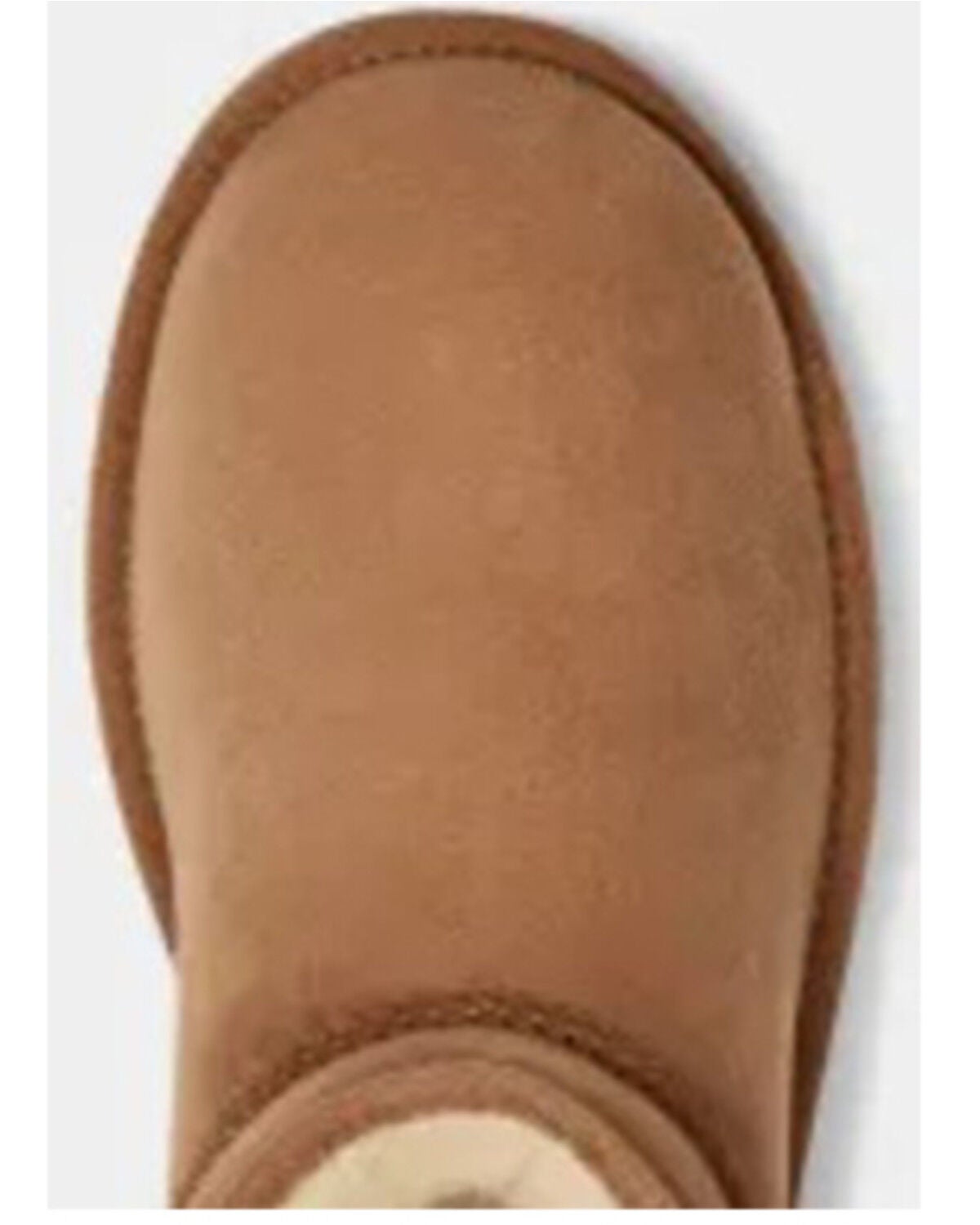 ugg chestnut classic mini