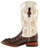 Ferrini Hornback Caiman Print Cowgirl Boots - Wide Square Toe, Chocolate, hi-res