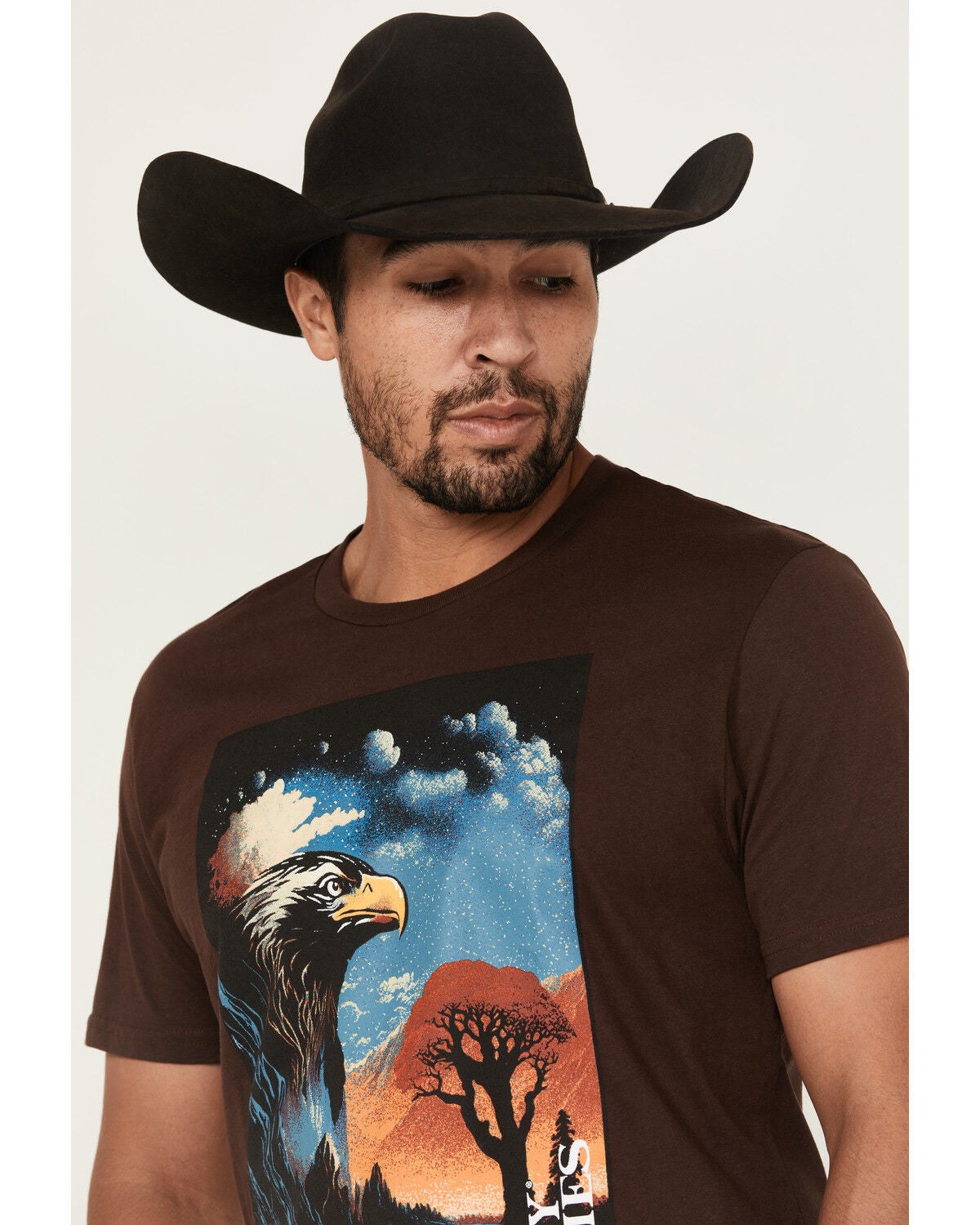 Image #2 - Cody James Men's Lookout Eagle Short Sleeve Graphic T-Shirt, Dark Brown, hi-res