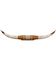 Image #1 - Authentic Large Steer Horns, Tan, hi-res