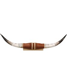 Steer Horn