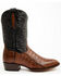 Image #2 - Dan Post Men's 12" Exotic Caiman Western Boots - Round Toe, Brown, hi-res