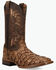 Image #1 - Dan Post Men's Marc Exotic Pirarucu Western Boots - Broad Square Toe, Tan, hi-res