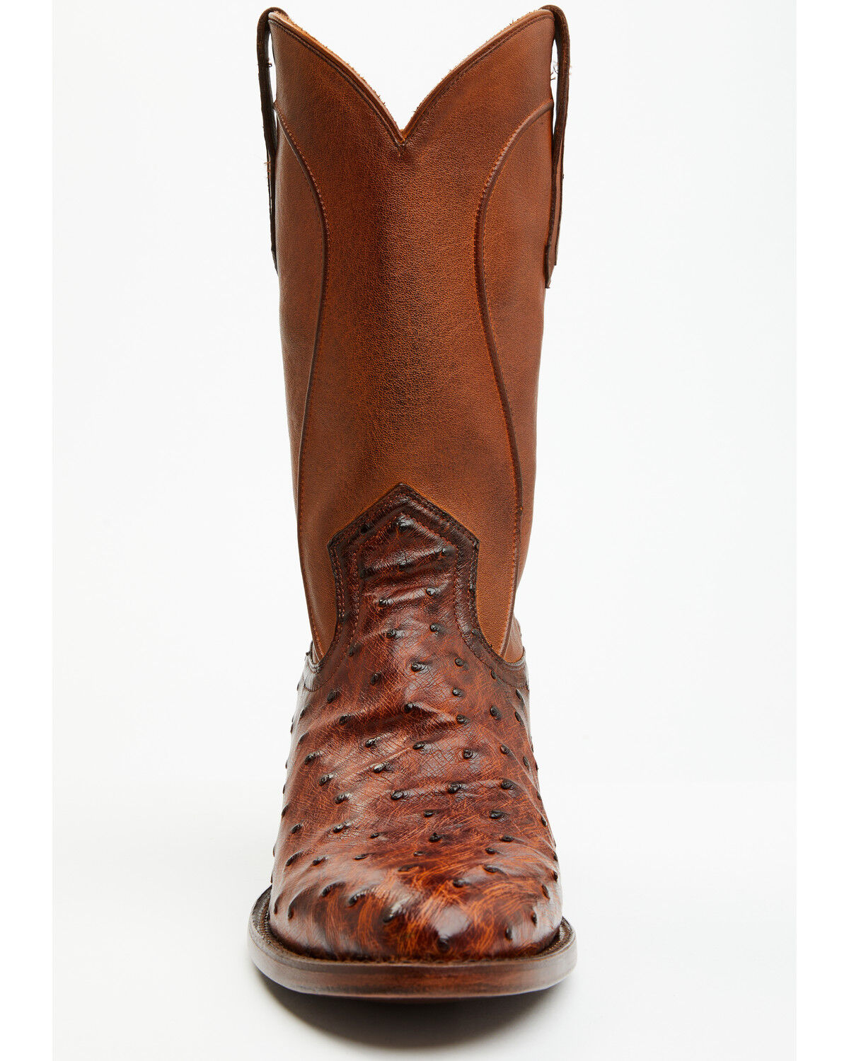 Cody James Black 1978® Men's Chapman Exotic Full-Quill