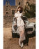 Image #1 - Free People Women's Rock Steady Maxi Shirt Dress, White, hi-res