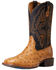 Image #1 - Ariat Men's Dagger Full-Quill Ostrich Exotic Western Boots - Broad Square Toe , Brown, hi-res