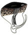 Mary Frances Women's Cheetah Chic Handbag, Multi, hi-res