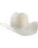 Image #1 - Boot Barn Ranch Hat Protector, No Color, hi-res