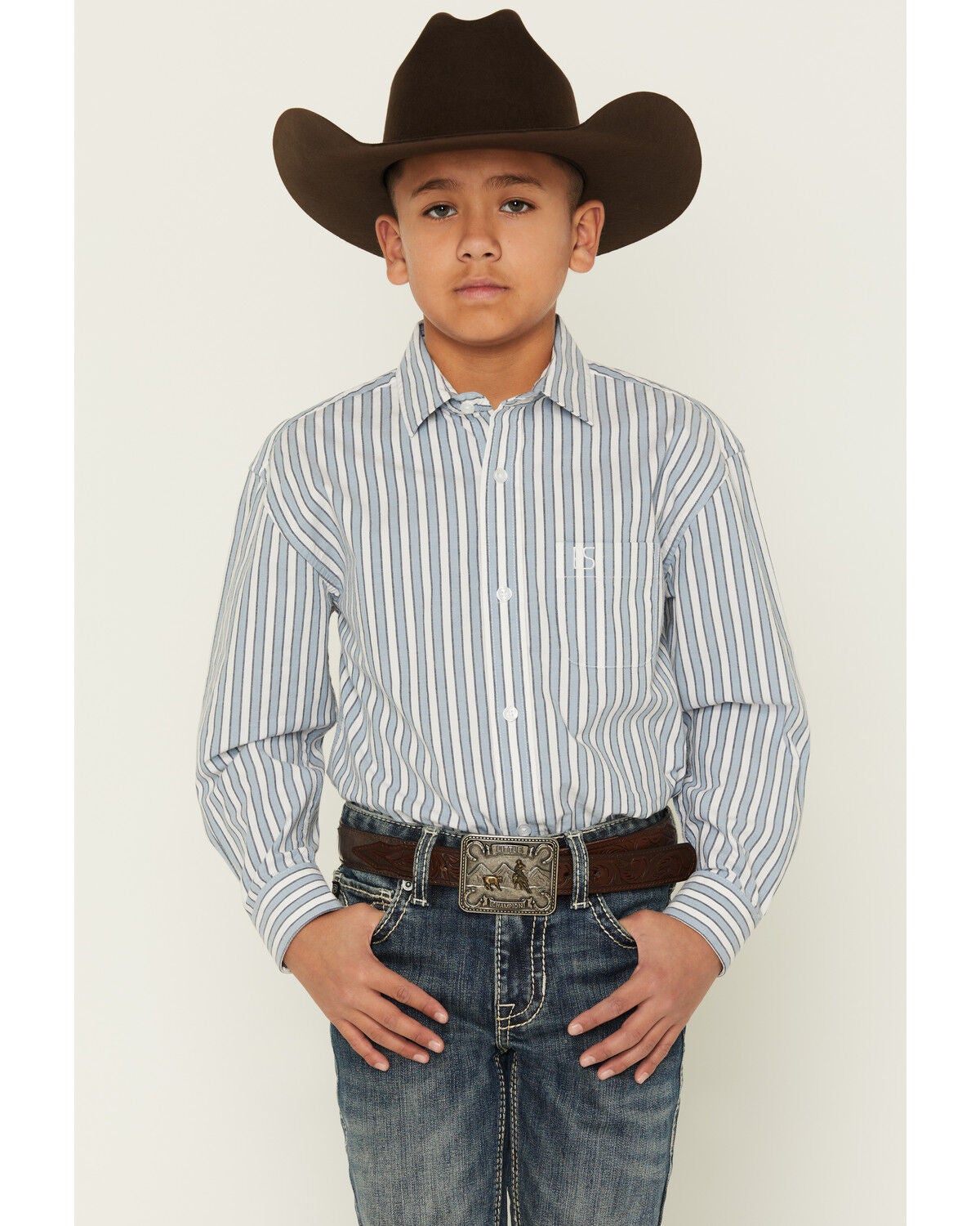 Panhandle Slim Boys' Striped Long Sleeve Button-Down Western Shirt, Blue, hi-res