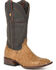 Image #1 - Stetson Men's Alligator Western Boots - Broad Square Toe, Tan, hi-res