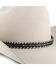 Image #1 - Colorado Horsehair Single Tassel Hat Band , Natural, hi-res