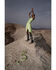Sadie & Sage Women's Amy Dot Midi Dress, Sage, hi-res