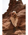Image #1 - Patrons of Peace Women's Del Mar Sleeveless Maxi Dress, Mustard, hi-res