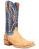 Image #1 - Dan Post Men's Brady Exotic Full-Quill Ostrich Tall Western Boots - Broad Square Toe, Tan, hi-res