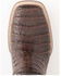 Ferrini Men's Caiman Belly Western Boots - Broad Square Toe, Chocolate, hi-res