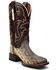Image #1 - Dan Post Women's Karung Exotic Western Boots - Broad Square Toe, Brown, hi-res